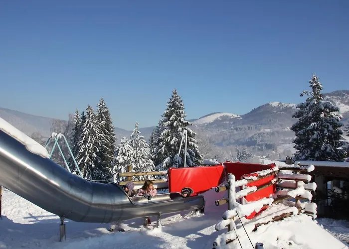 Julien Ле-Тийо